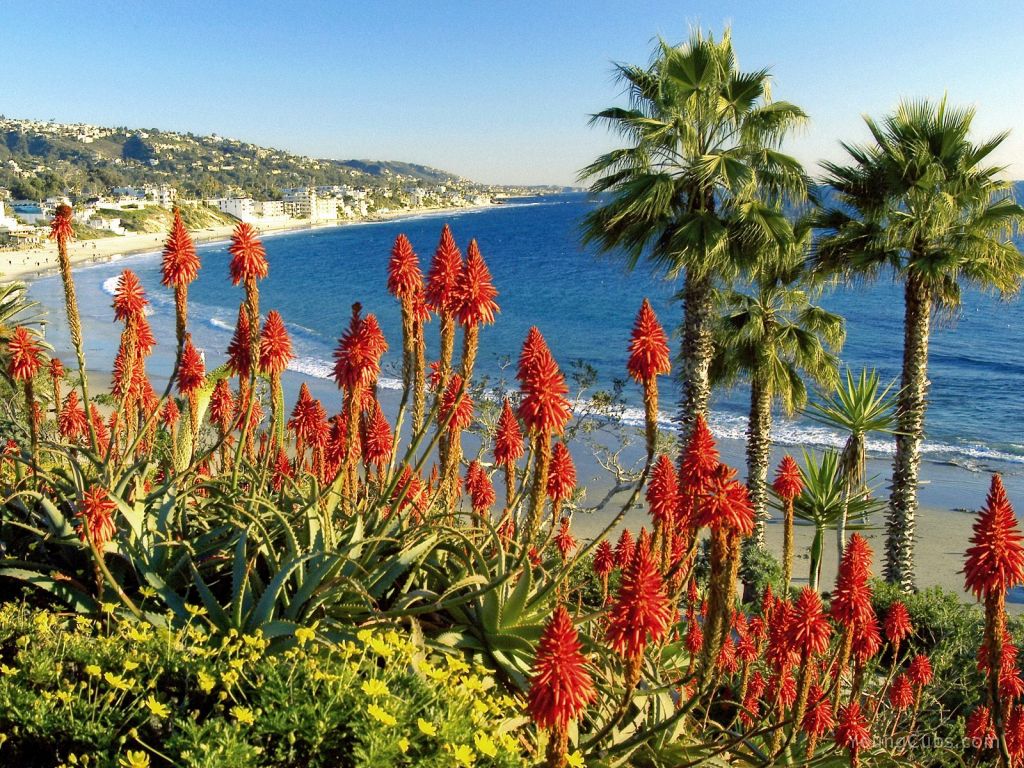 Laguna Beach Landscape, California
